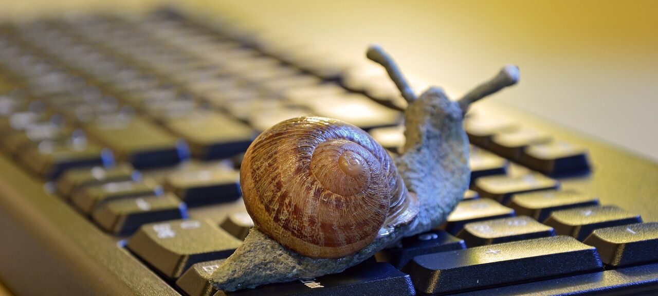 escargot, lent, clavier