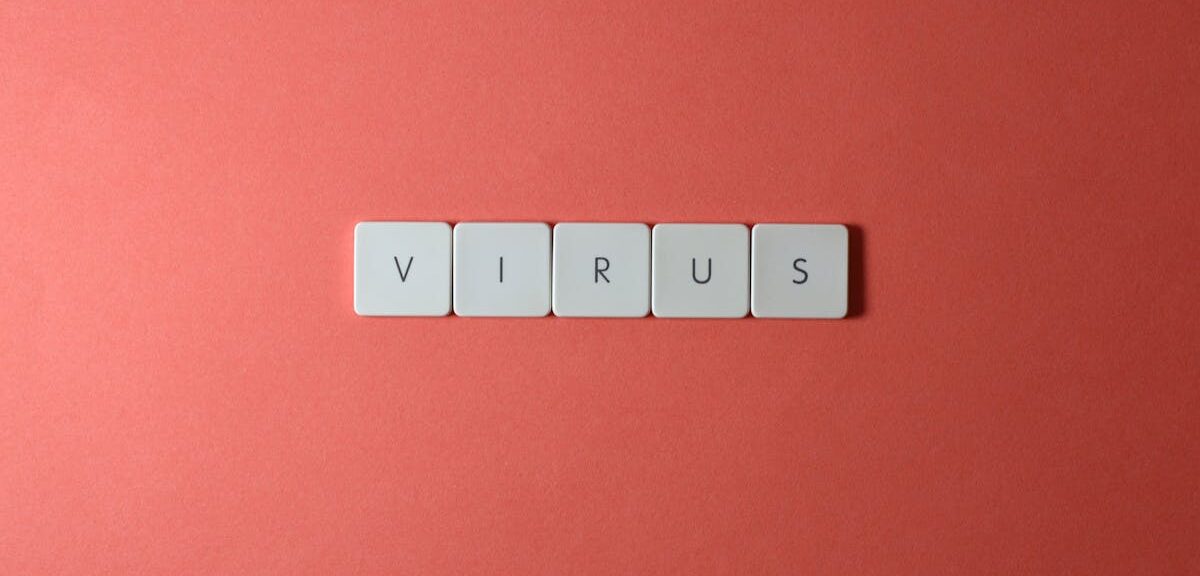 virus, botnet